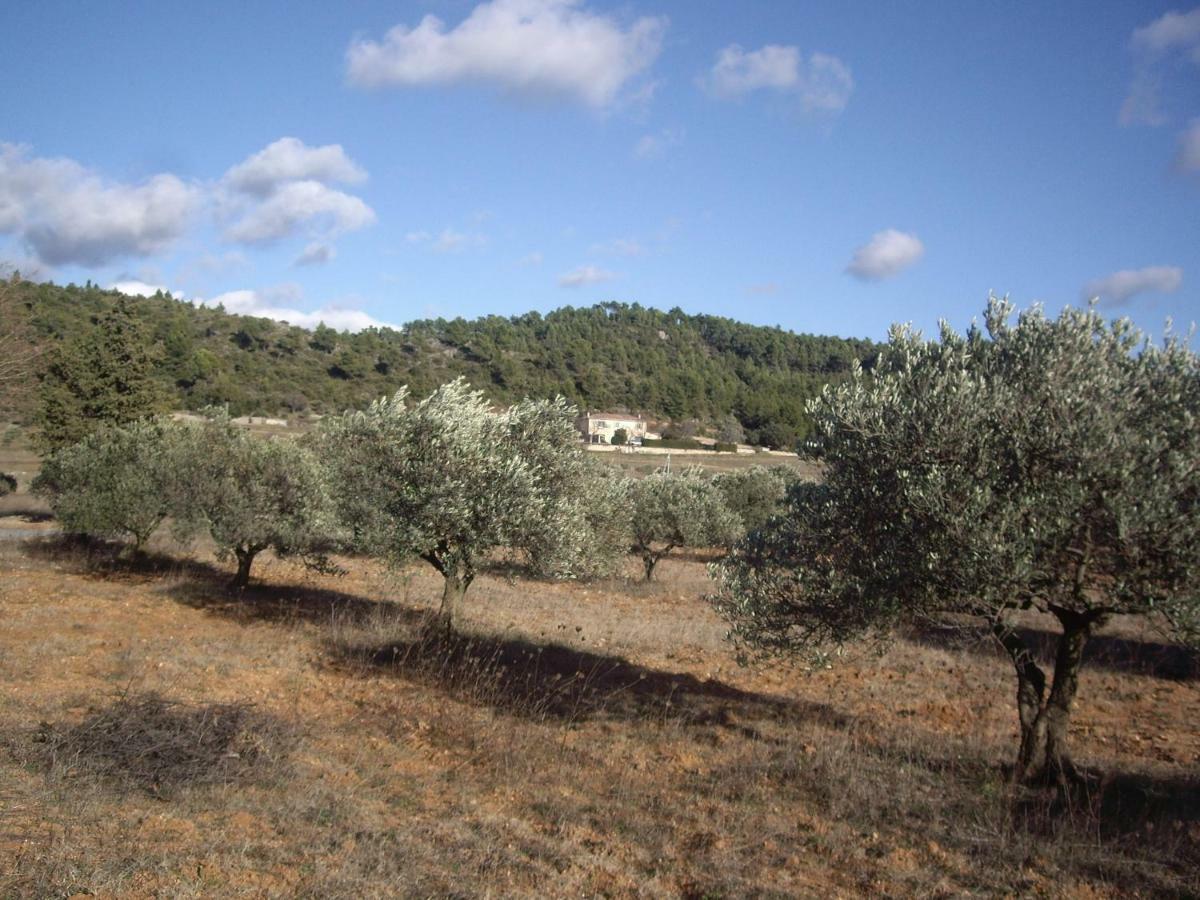 L' Oliveraie De Plerimond أوبس المظهر الخارجي الصورة